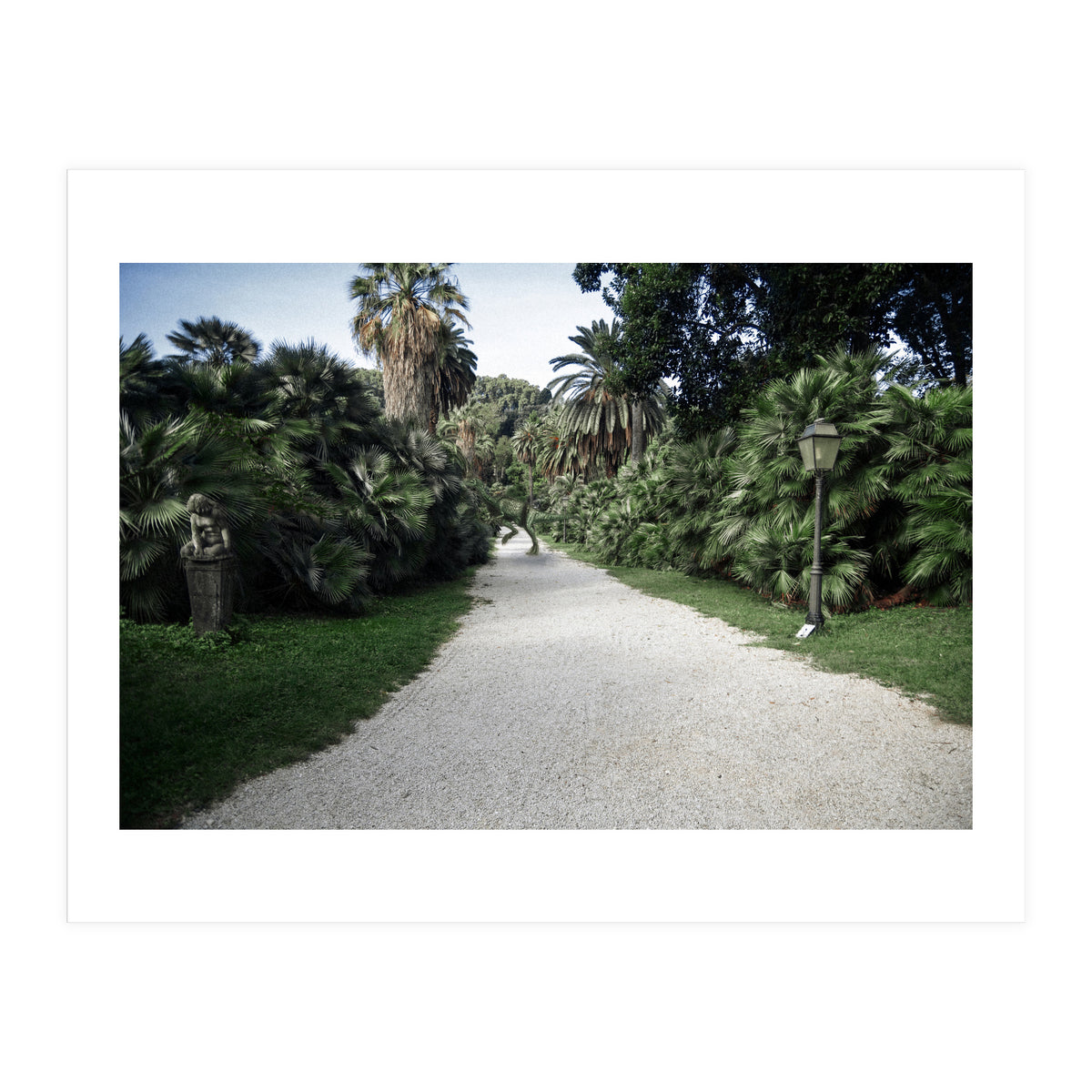 Fuckin' Fossil (Print Only)