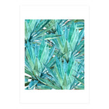 Agave  (Print Only) thumbnail