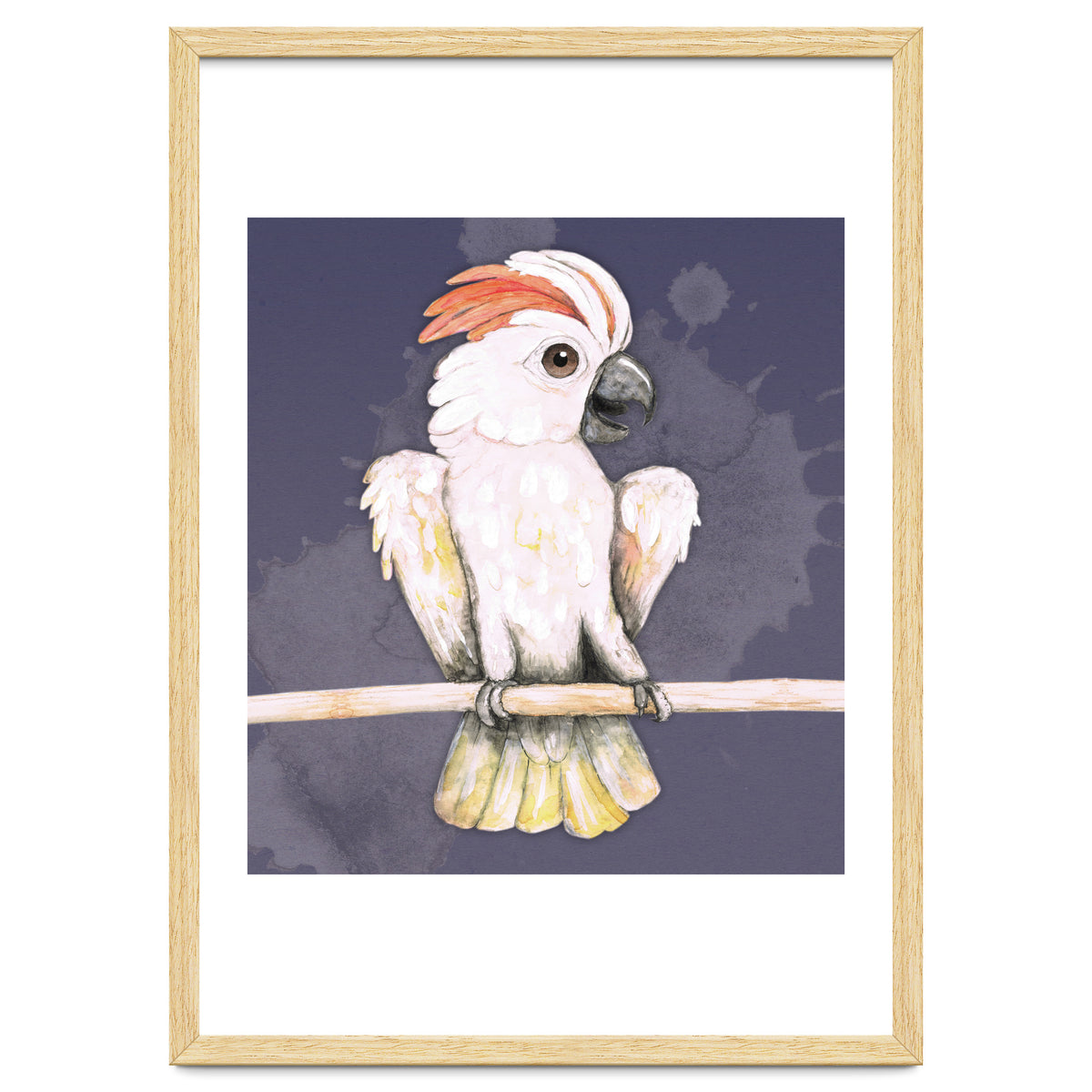 Salmon-crested cockatoo