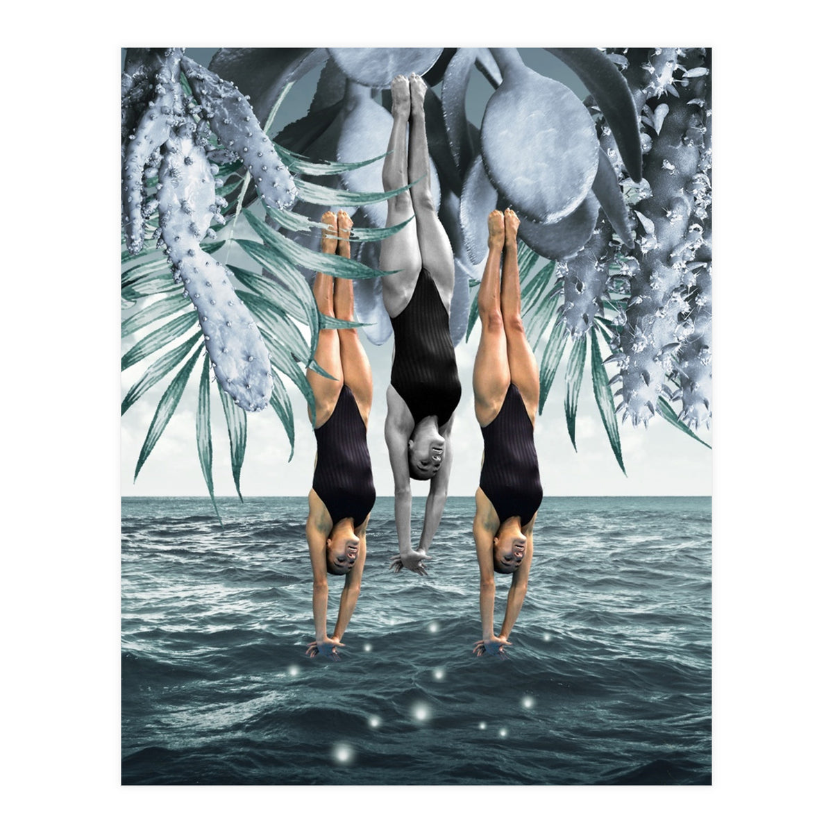 Dive Into (Print Only)