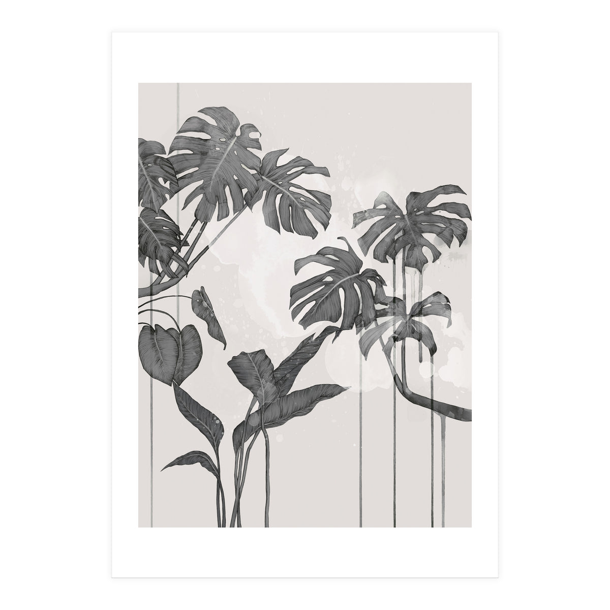 Foliage Grey (Print Only)
