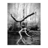 the negotiator (Print Only) thumbnail