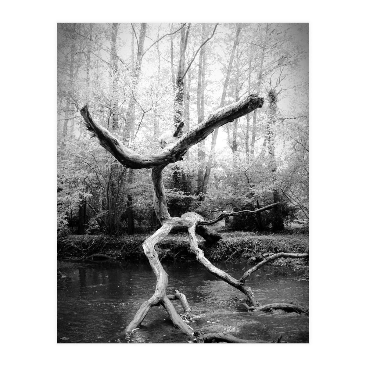 the negotiator (Print Only)