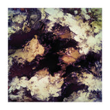 Hidden Dog (Print Only) thumbnail