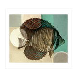 Fish Between Circles 4 (Print Only) thumbnail