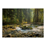Cascade River (Print Only) thumbnail