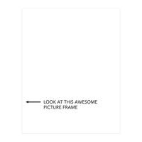 PICTURE FRAME (Print Only)