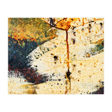 Zara (Print Only) thumbnail