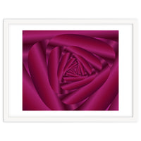 Pink Color Rose Swirl Art