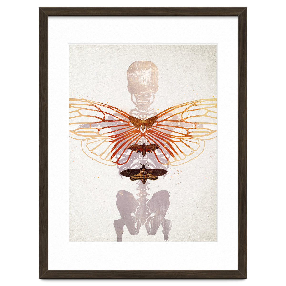 Ikarus - Like a Moth to the Flame