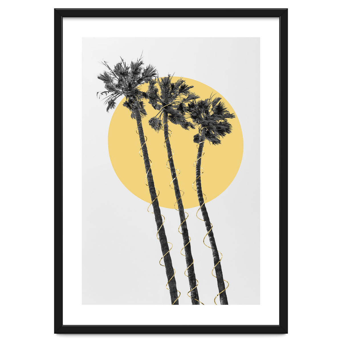 Palm Trees in the sun