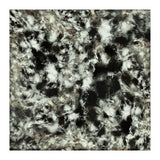 Grey Footprints (Print Only) thumbnail