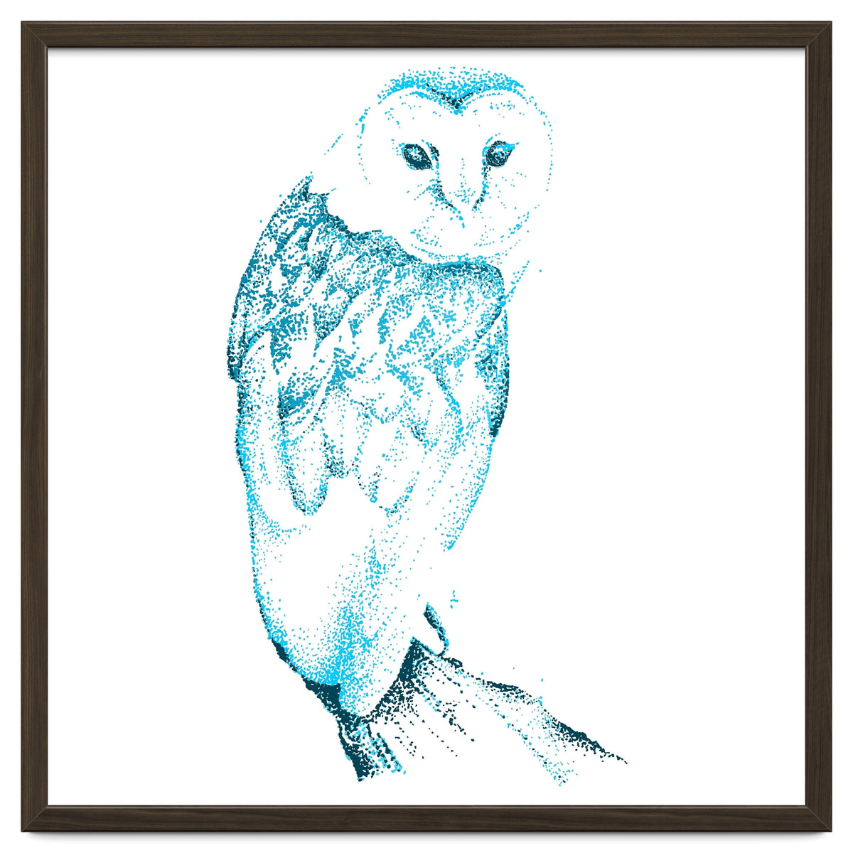 Barn Owl in Teal