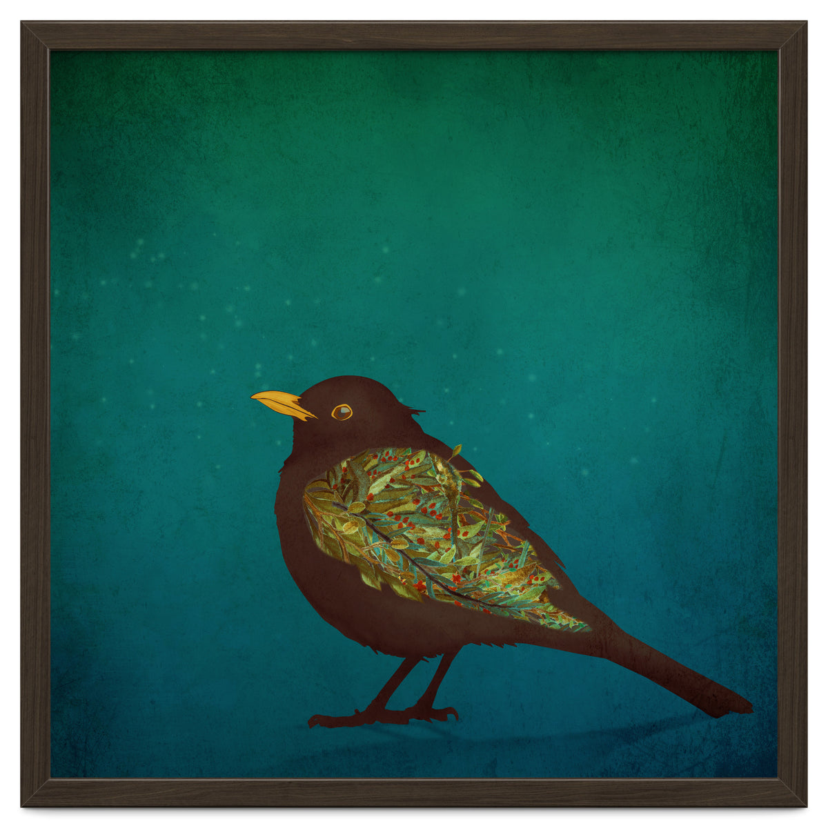 Camouflage: The Blackbird