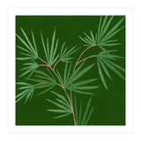Abstract Palm (Print Only) thumbnail
