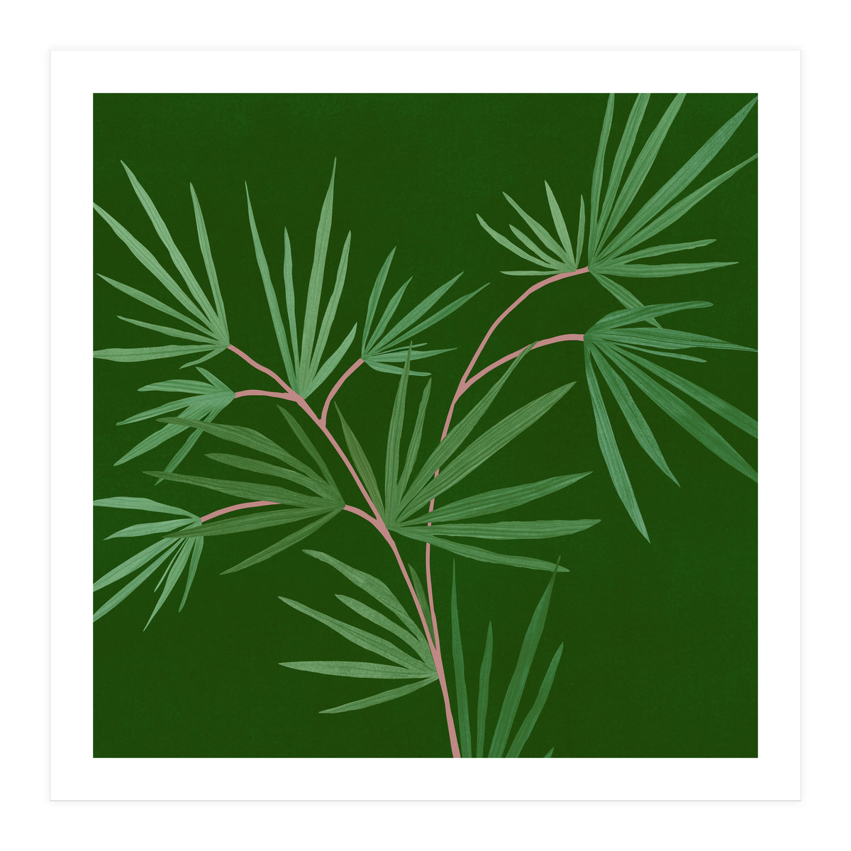 Abstract Palm (Print Only)