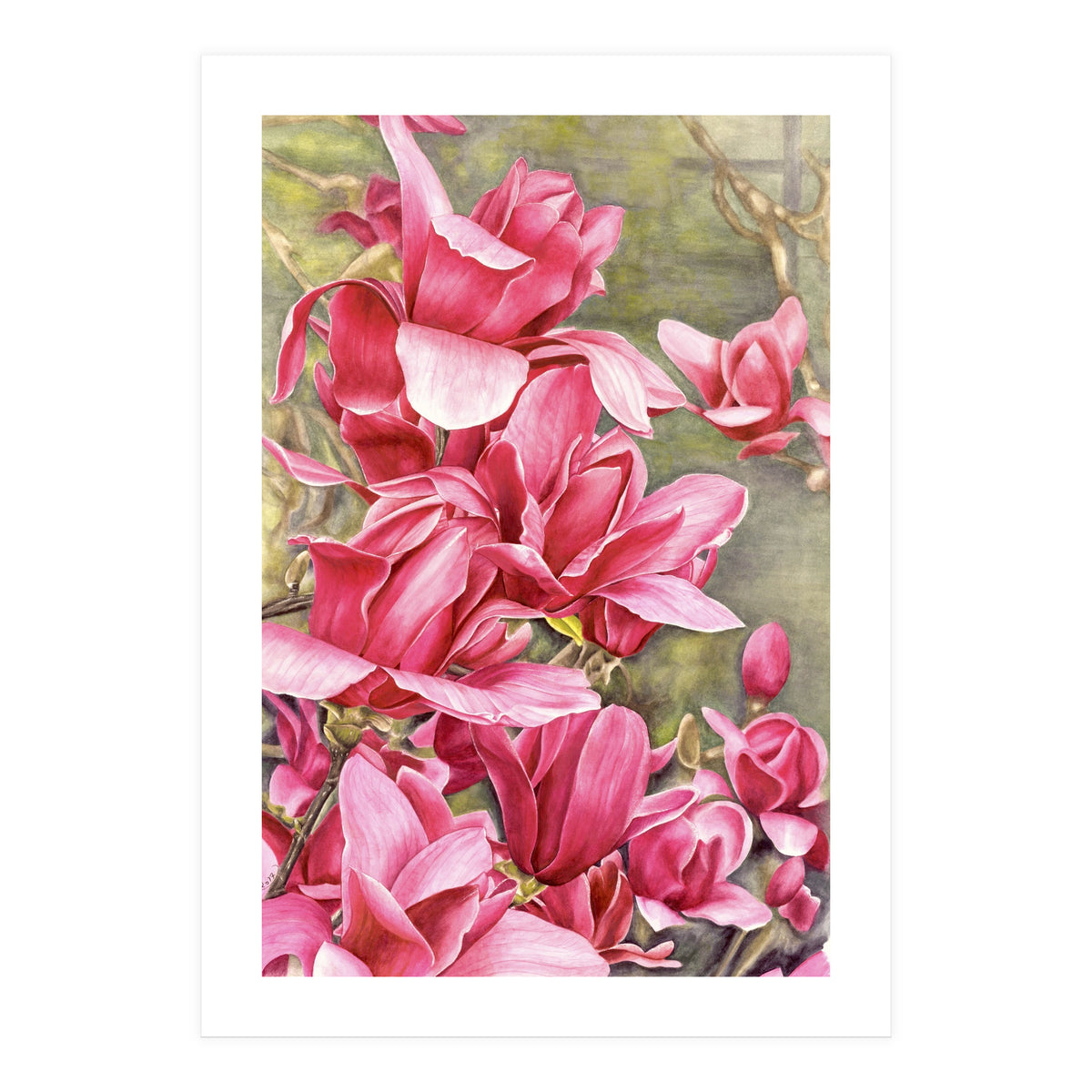 Magnolia 5 (Print Only)