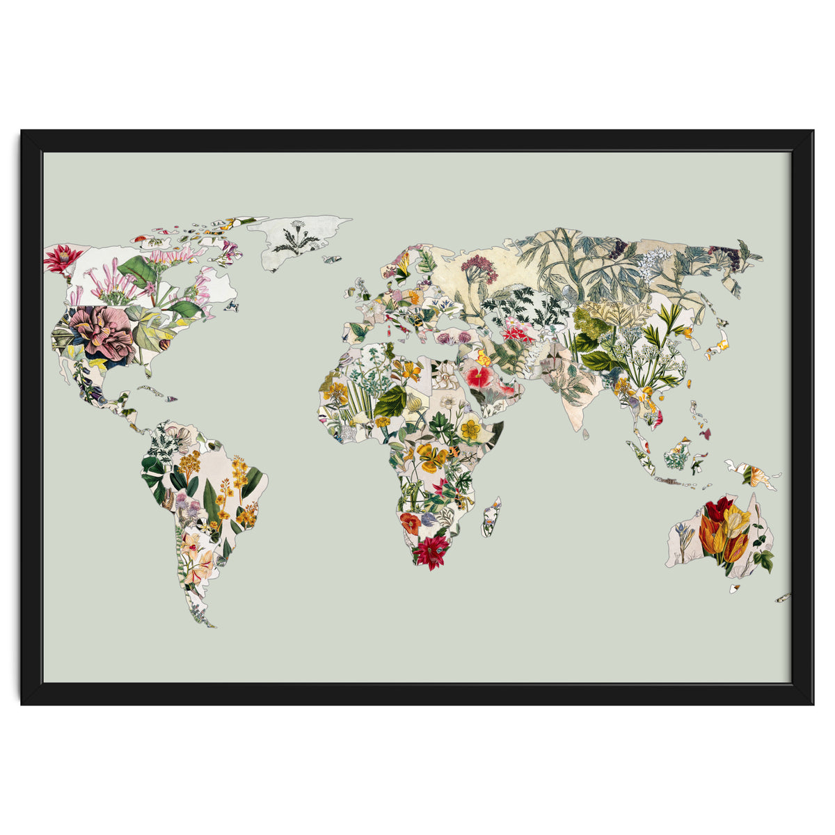 Vintage Botanical Map - Green