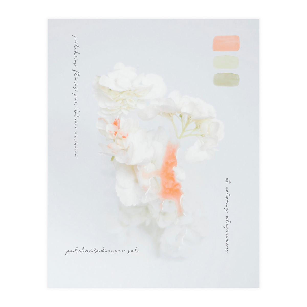 Modern Vintage Botanic (Print Only)