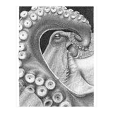 Octopus no. 1 (Print Only) thumbnail