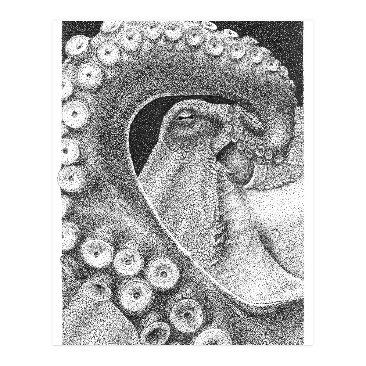 Octopus no. 1 (Print Only)