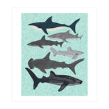 Sharks (Print Only) thumbnail