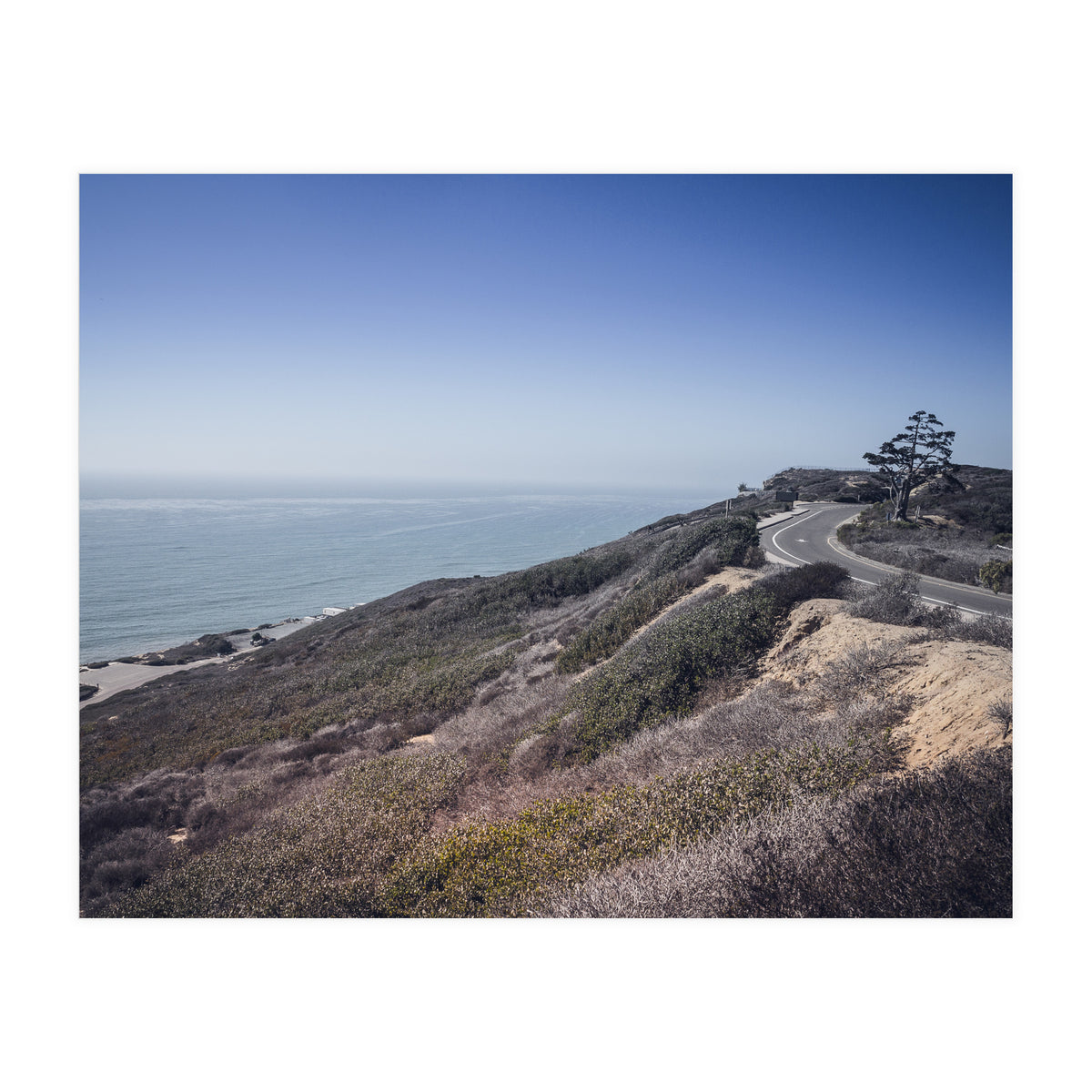 Coastal Road (Print Only)