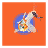 Koi Carp N Diver (Print Only) thumbnail