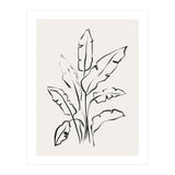 Banana Leafs Drawing (Print Only) thumbnail