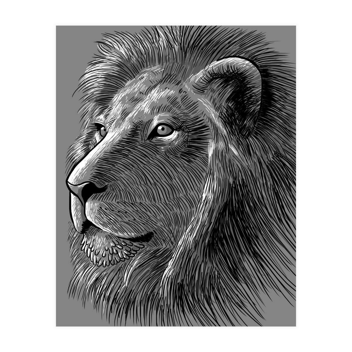 Sketch Lion (Print Only)