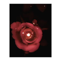 Lighting Rose (Print Only)