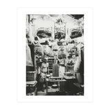 Yuen Po (Print Only) thumbnail