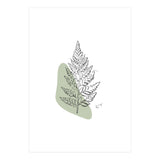 Fern (Print Only) thumbnail