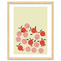 Pomegranate Illustration