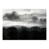 Winter mornig in Paris (Print Only) thumbnail