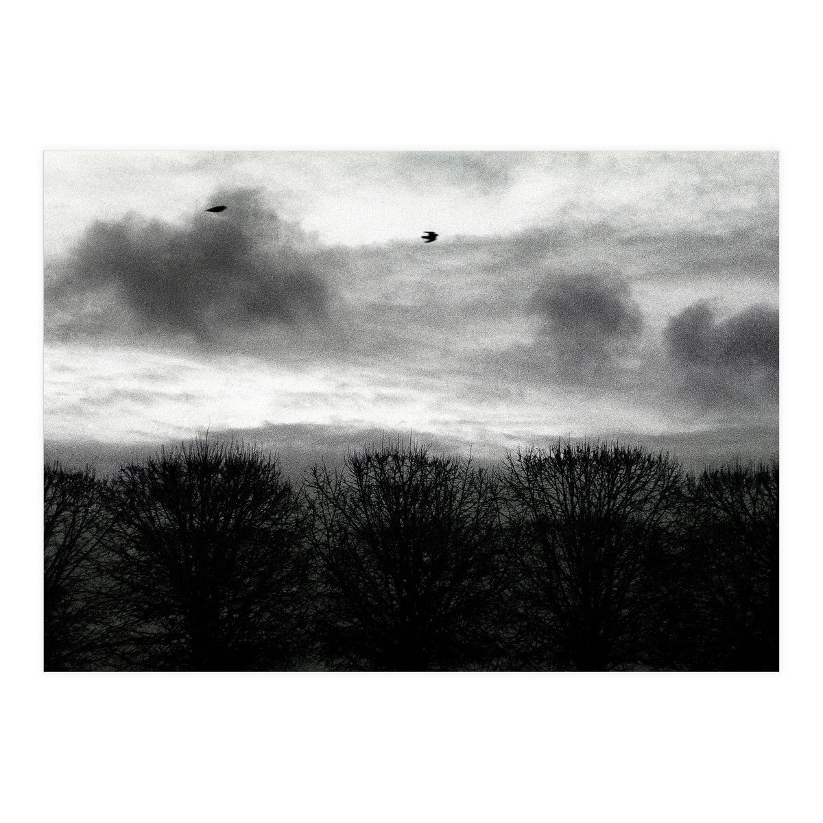 Winter mornig in Paris (Print Only)