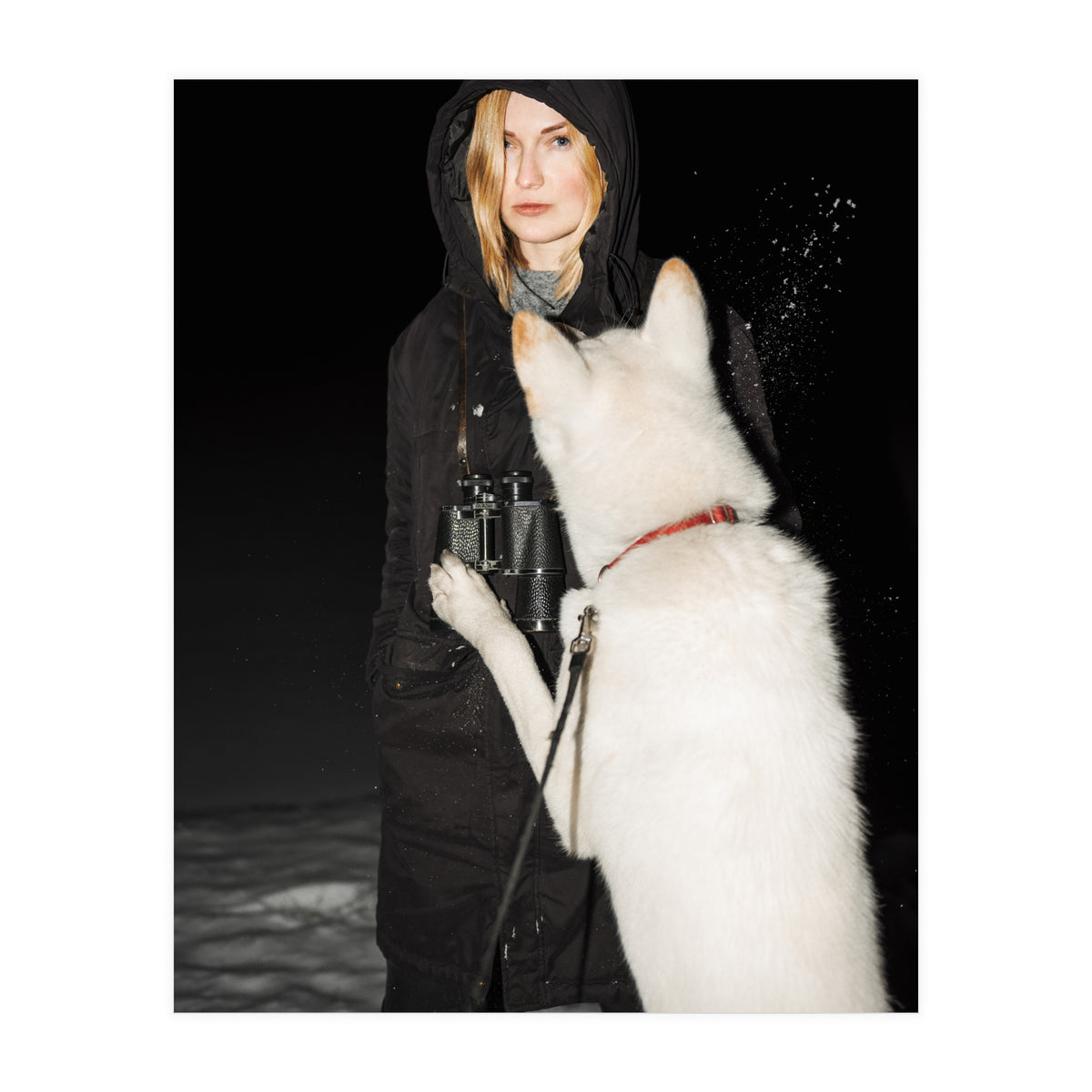 Wolf Gang (Print Only)