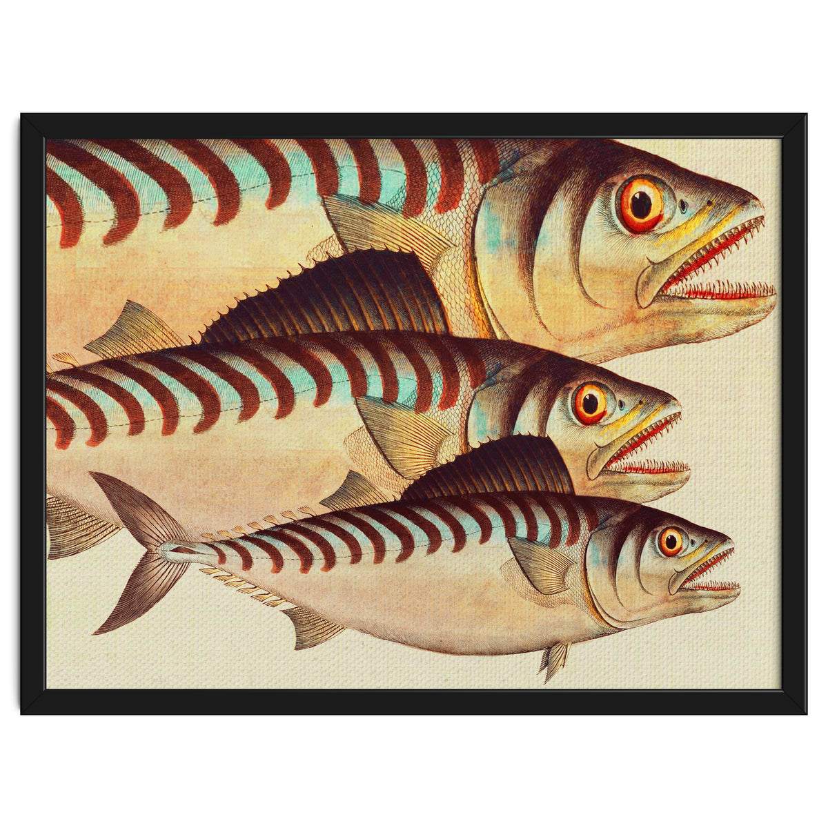 Fish Classic Designs 8