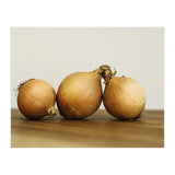 Onions (Print Only) thumbnail