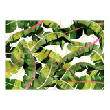 Banana Leaf Salad With Garlic Butter Dressing (Print Only) thumbnail