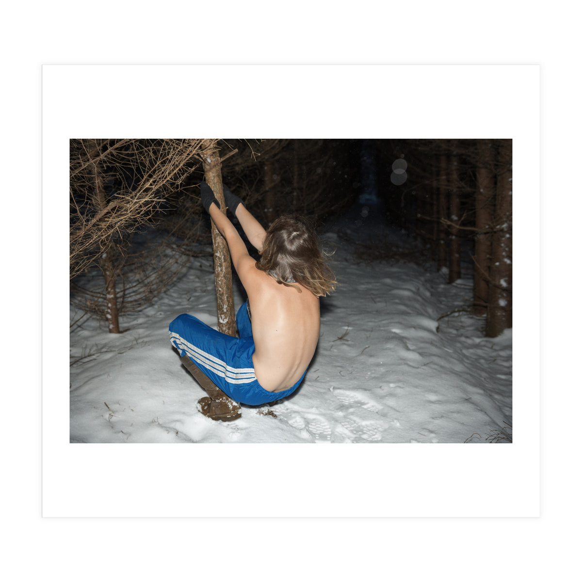 All is Calm, All is Bright (Print Only)