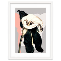 Calla lily flower