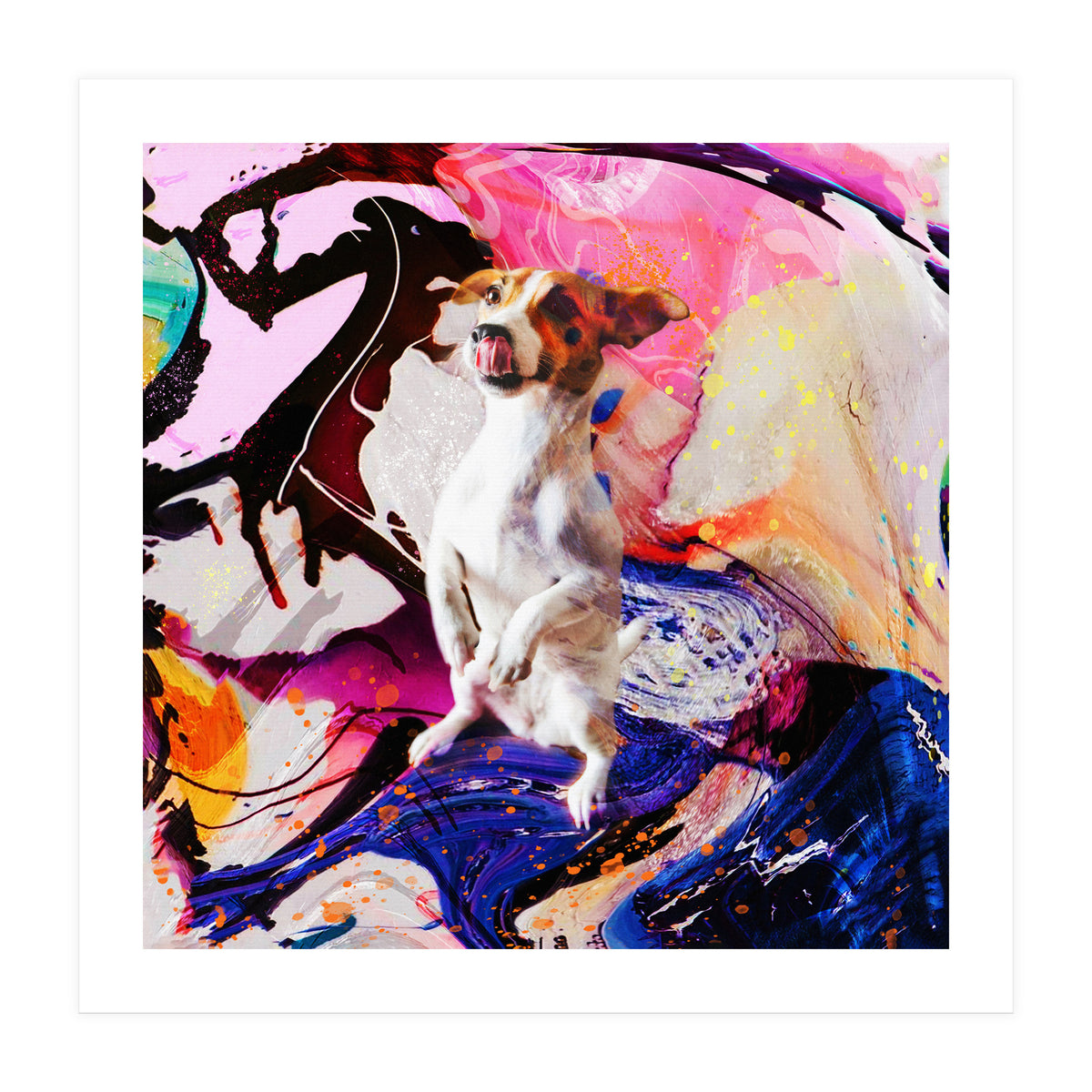 Zycko Color Dog 4 (Print Only)