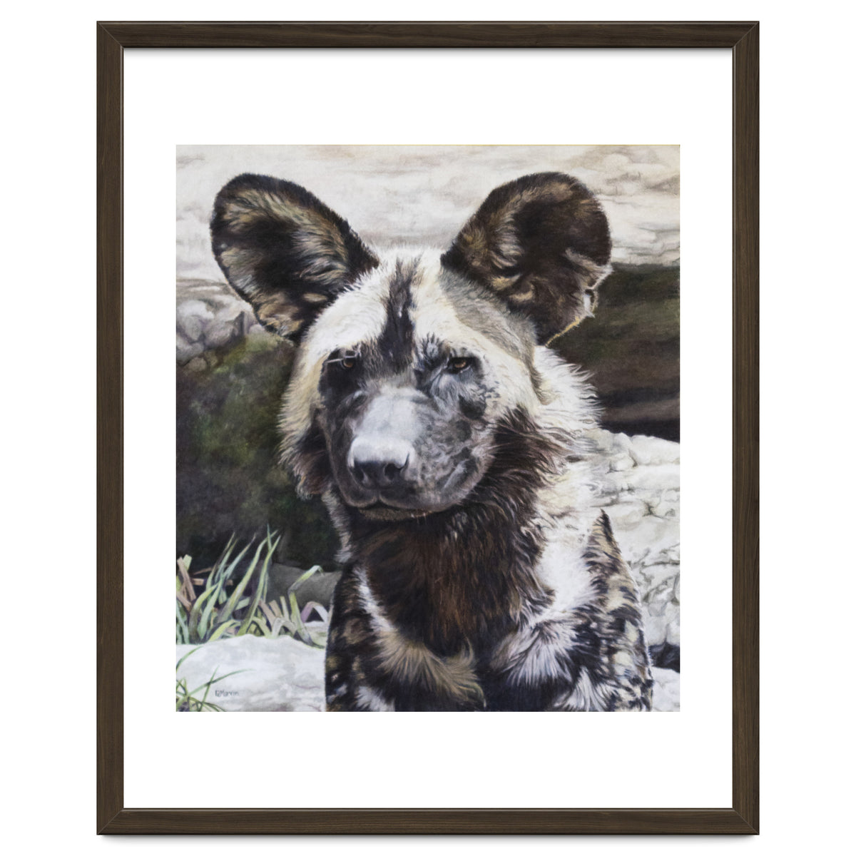 African Painted Dog II