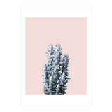 Cactus collection BL-III (Print Only) thumbnail