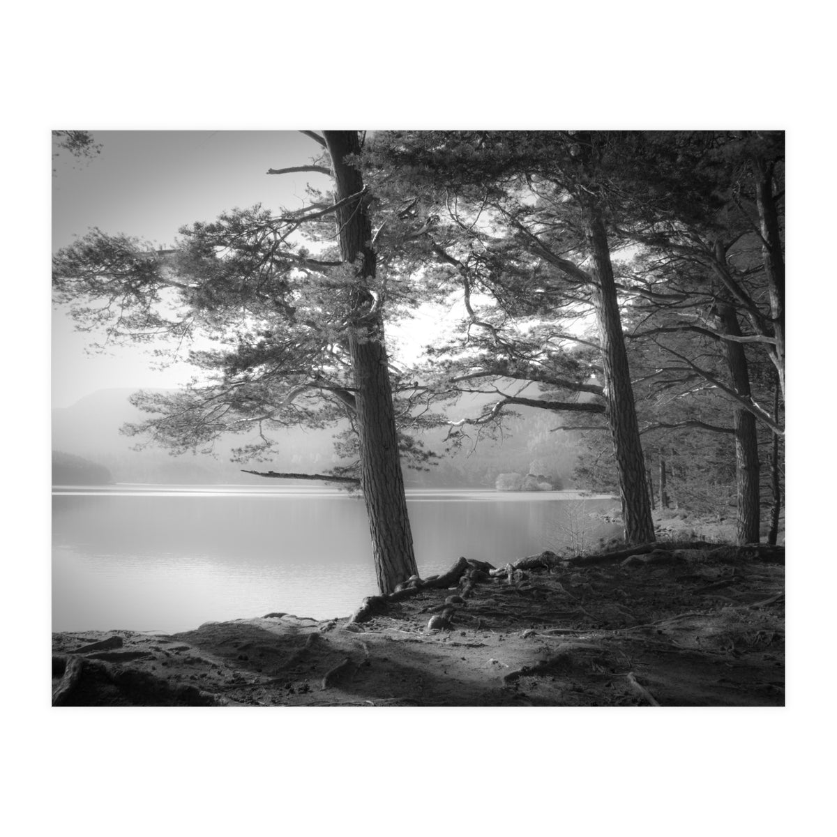 Loch an Eilein (Print Only)