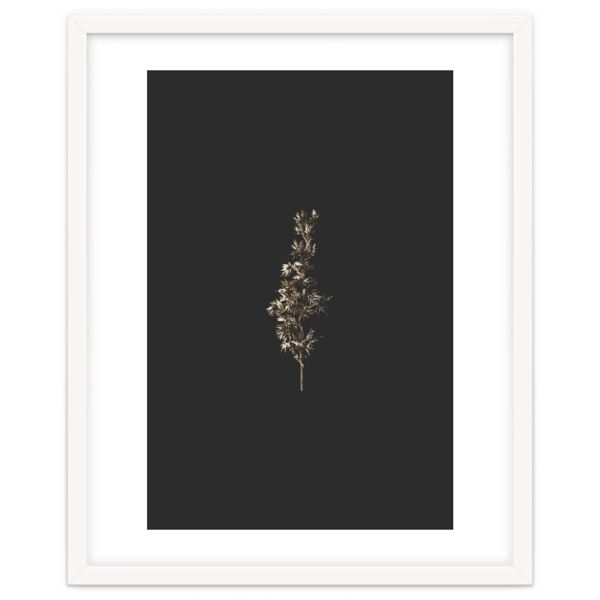 Gold Rush Botanicals