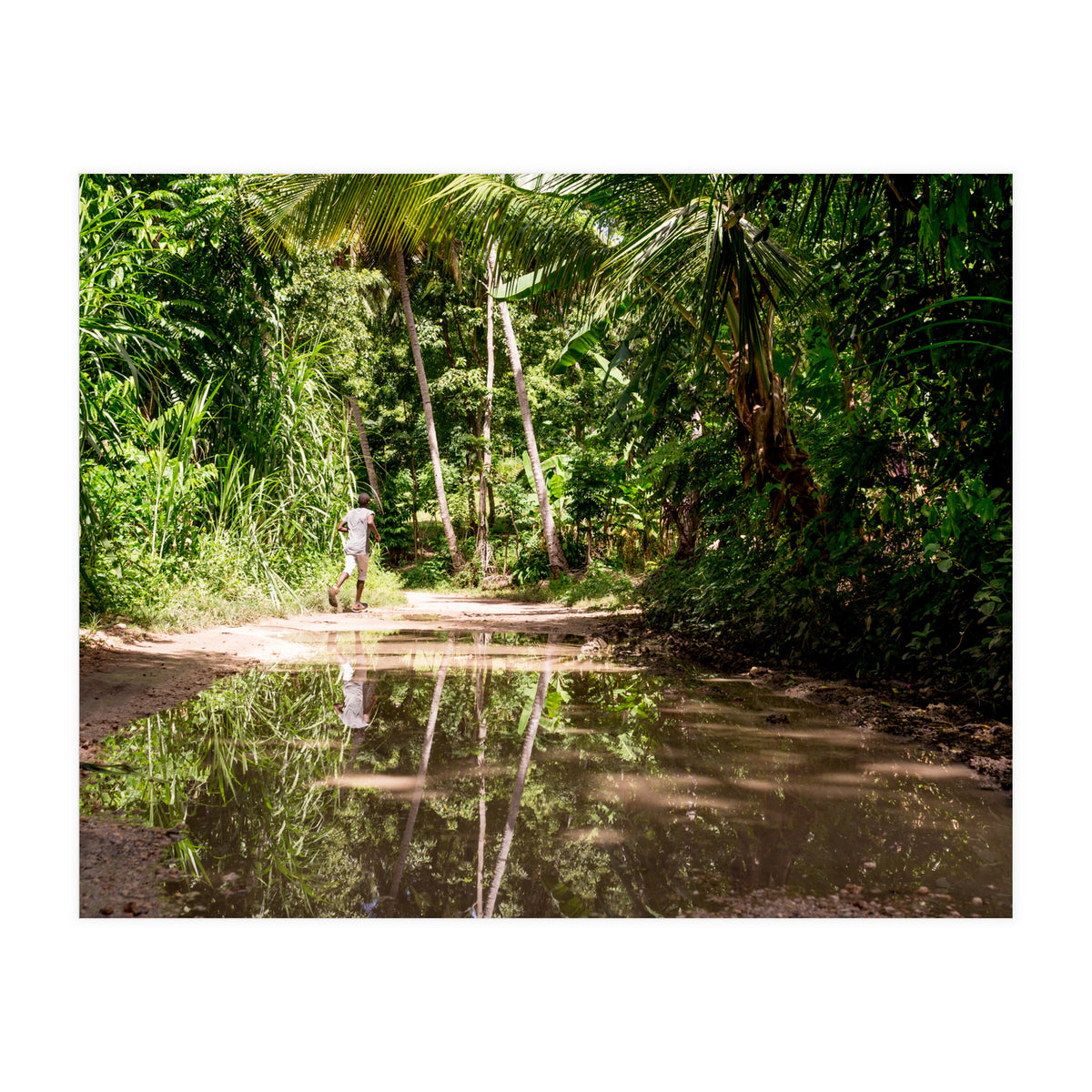 Haitian Bush (Print Only)