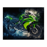 Kawasaki Ninja 2 (Print Only) thumbnail
