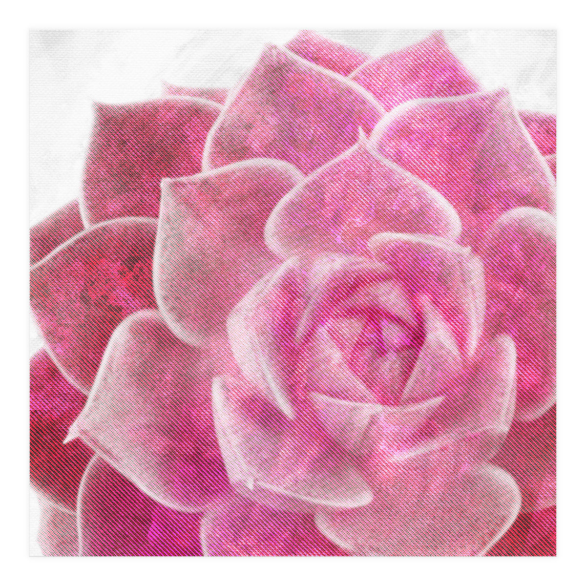 Rough Beauty 4 (Print Only)